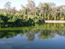 Chapultepec Park